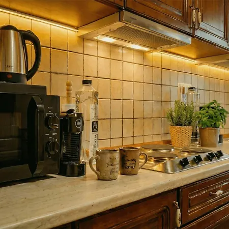 Elegant Retreat In Sinaia Mocioni Square * تيميشورا