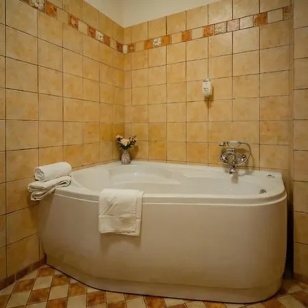Elegant Retreat In Sinaia Mocioni Square * Timişoara