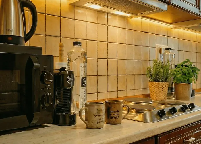 Elegant Retreat In Sinaia Mocioni Square * تيميشورا